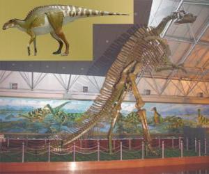 Puzzle Η Zhuchengosaurus είναι μία από το μεγαλύτερο γνωστό hadrosaurids